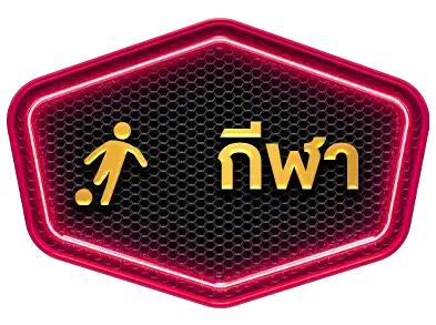 แบนเนอร์ 13