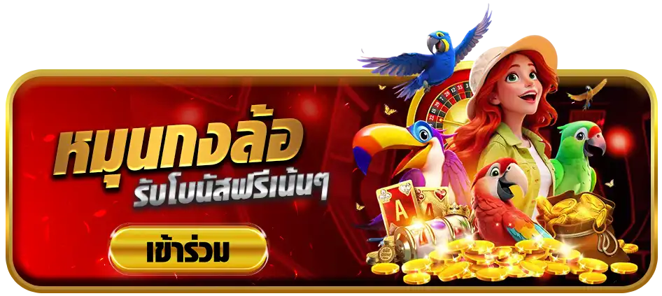 แบนเนอร์ 5